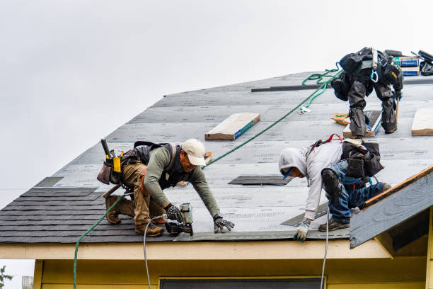 Professional Gutter Installation technician working in Montrose, MN